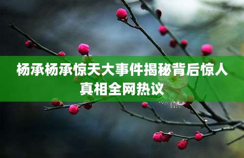 杨承杨承惊天大事件揭秘背后惊人真相全网热议