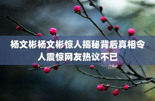 杨文彬杨文彬惊人揭秘背后真相令人震惊网友热议不已